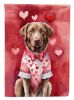 Chesapeake Bay Retriever My Valentine Garden Flag Mailbox Flag Decorative Yard Flag Banner Outside Patio Artwork Yard Flower Beds, Garden Size