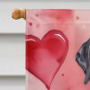 Great Dane My Valentine House Flag Large Porch Sleeve Pole Decorative Outside Yard Banner Artwork Wall Hanging, Polyester, House Size, Multicolor