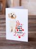 Doodle Red #2 so Loved Greeting Cards Pack of 8 Blank Cards with Envelopes Whimsical A7 Size 5x7 Blank Note Cards