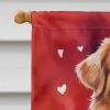 Nova Scotia Duck Tolling Retriever My Valentine House Flag Large Porch Sleeve Pole Decorative Outside Yard Banner Artwork Wall Hanging, Polyester