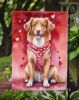 Nova Scotia Duck Tolling Retriever My Valentine Garden Flag Mailbox Flag Decorative Yard Flag Banner Outside Patio Artwork Yard Flower Beds