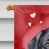 Greater Swiss Mountain Dog My Valentine House Flag Large Porch Sleeve Pole Decorative Outside Yard Banner Artwork Wall Hanging, Polyester, House Size